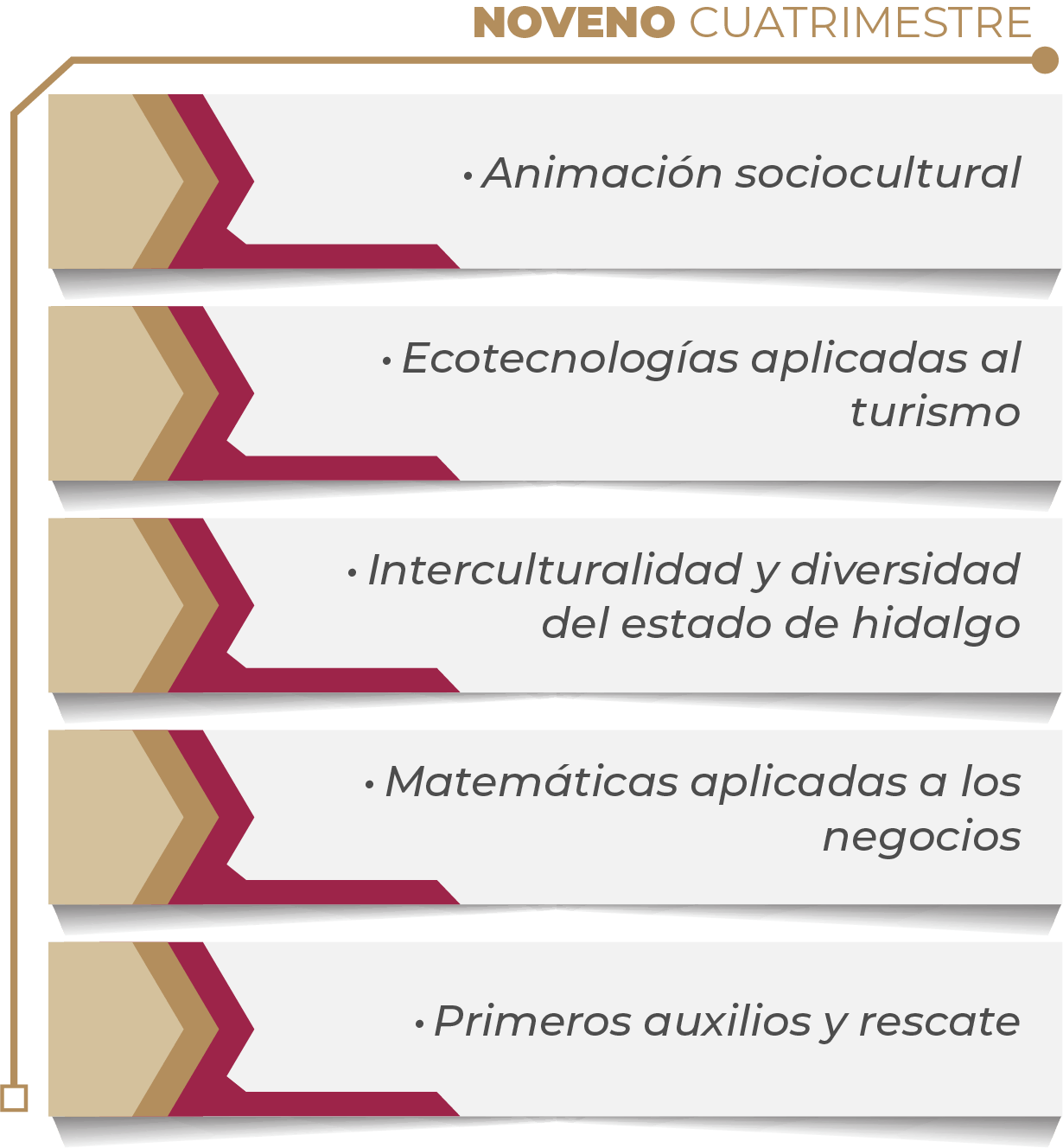 MAPA CURRICULAR SOFTWARE